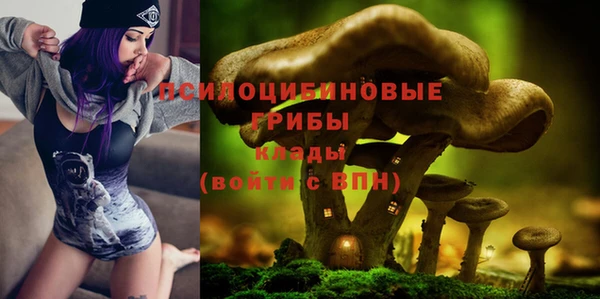 мяу мяу мука Богданович