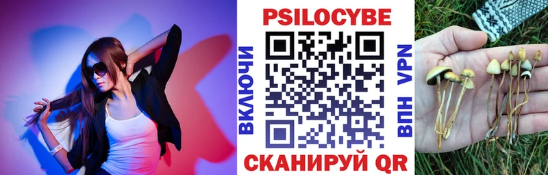 Купить закладки Ступино Галлюциногенные грибы GOLDEN TEACHER