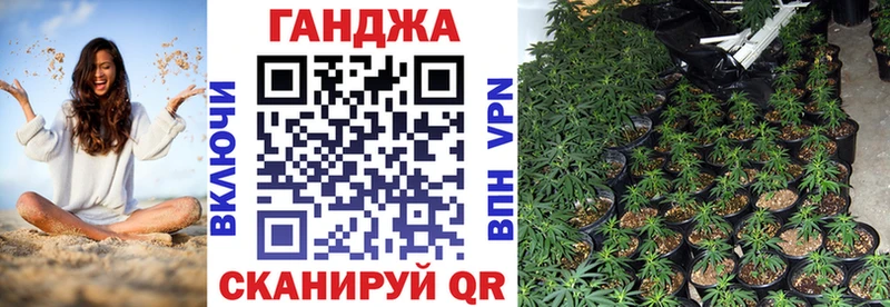 Конопля семена Ступино